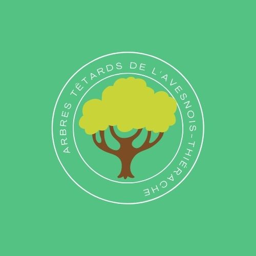 Inventaire des arbres têtards de Sambre Avesnois Thiérache